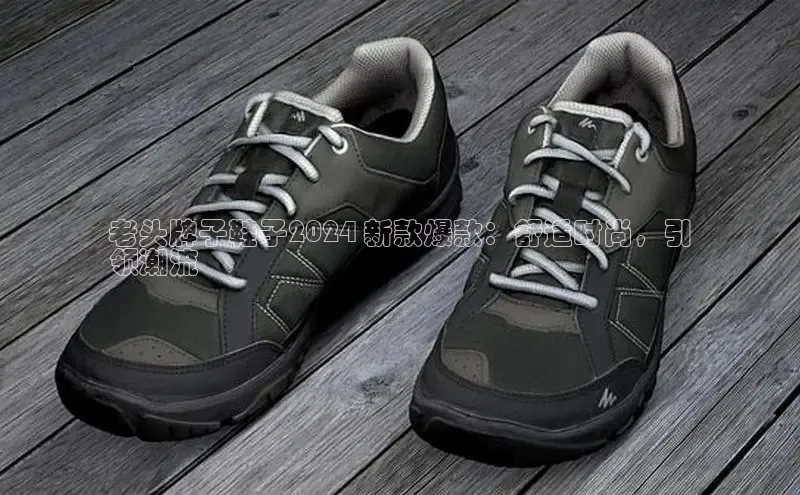 意昂三登录入口诸葛科技老头牌子鞋子2024 新款爆款：舒适时尚，引
领潮流
