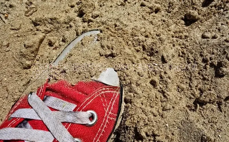 意昂3入口登录文心一言准备好升级你的衣橱：2024 年新款女士卫衣和
鞋履指南