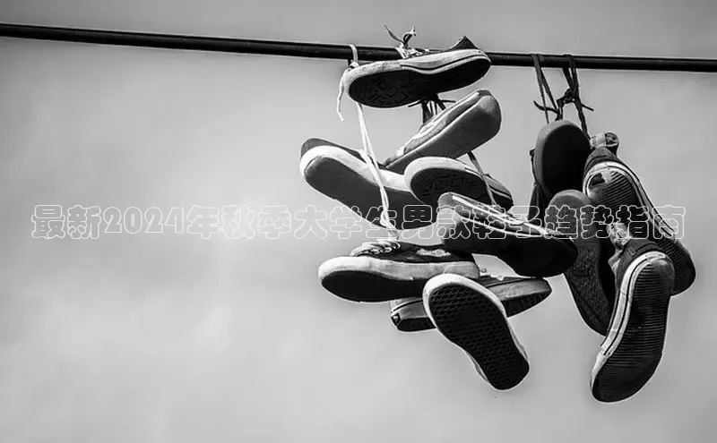 意昂3手游平台官网江铃新能源最新2024年秋季大学生男款鞋子趋势指南