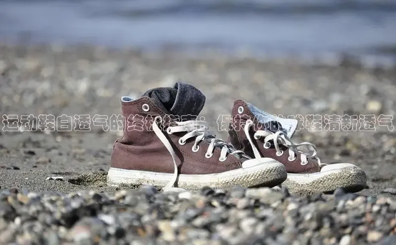 意昂3官方网入口汉得信息运动鞋白透气的终极指南：保持你的球鞋清新透气