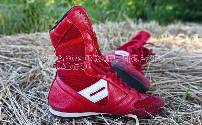 意昂3注册ARGA公司始祖鸟 2024 鞋款测评：引领户外探
险的黄金标准