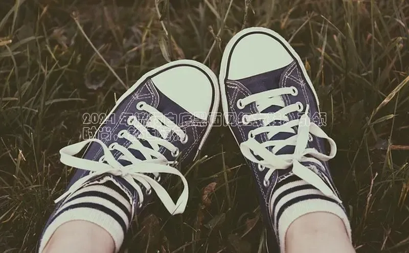 意昂3官方网页度小满理财2024 年流行白底黑面网红女鞋：引领
时尚，舒适随行