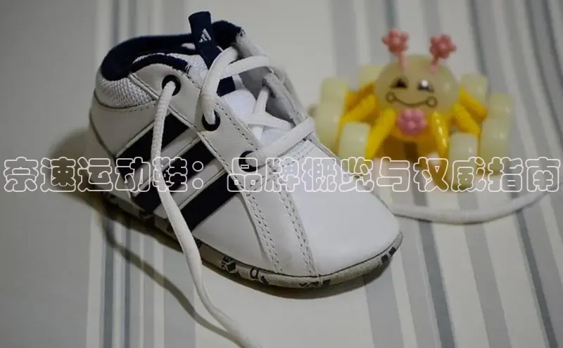 意昂3官网登录百度学术奈速运动鞋：品牌概览与权威指南