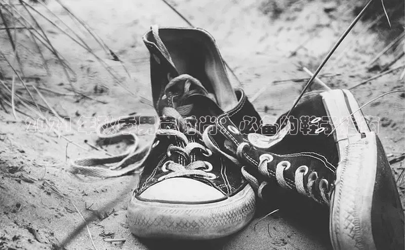 意昂3手机版官网极氪智能科技2024 年秋季男童时尚：必备的鞋子指南