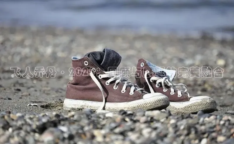 意昂3手游官网下载知乎飞人乔丹·2025：回顾与展望的完美融合