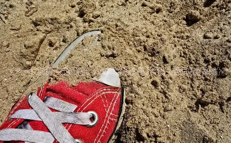 意昂3手机版登录中文在线未来都市脚下的革新：2025年趋势的单鞋女式运动鞋设计