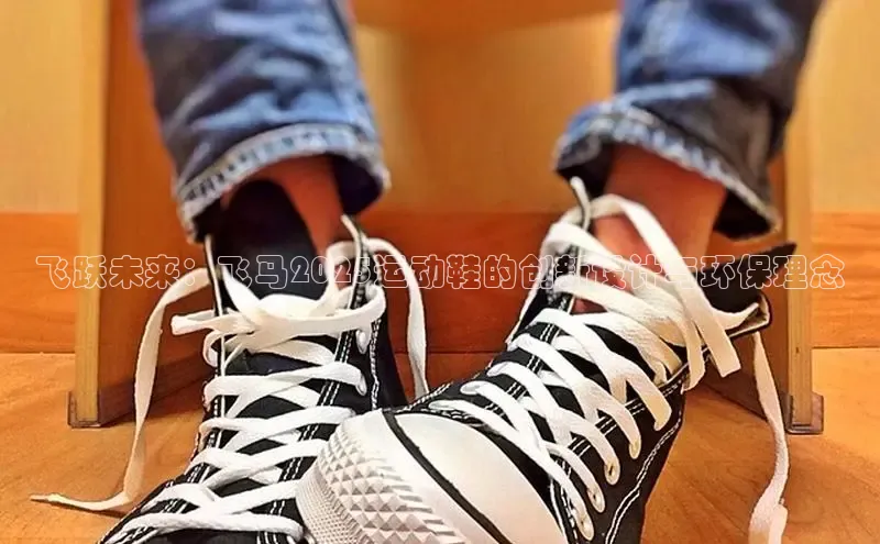 飞跃未来：飞马2025运动鞋的创新设计与环保理念