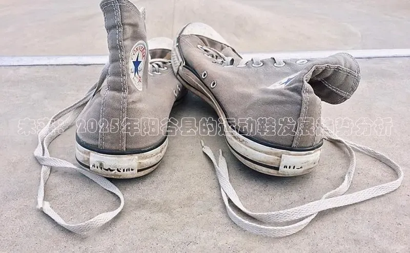 未来：2025年阳谷县的运动鞋发展趋势分析