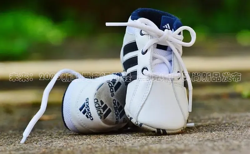 未来：2025新款男童运动鞋—耐克夏日风尚新品发布